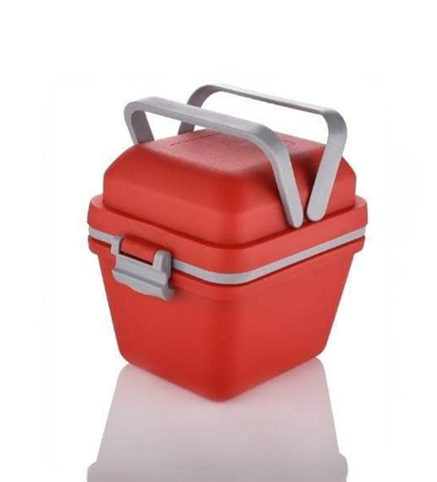 Red Plastic LunchBox