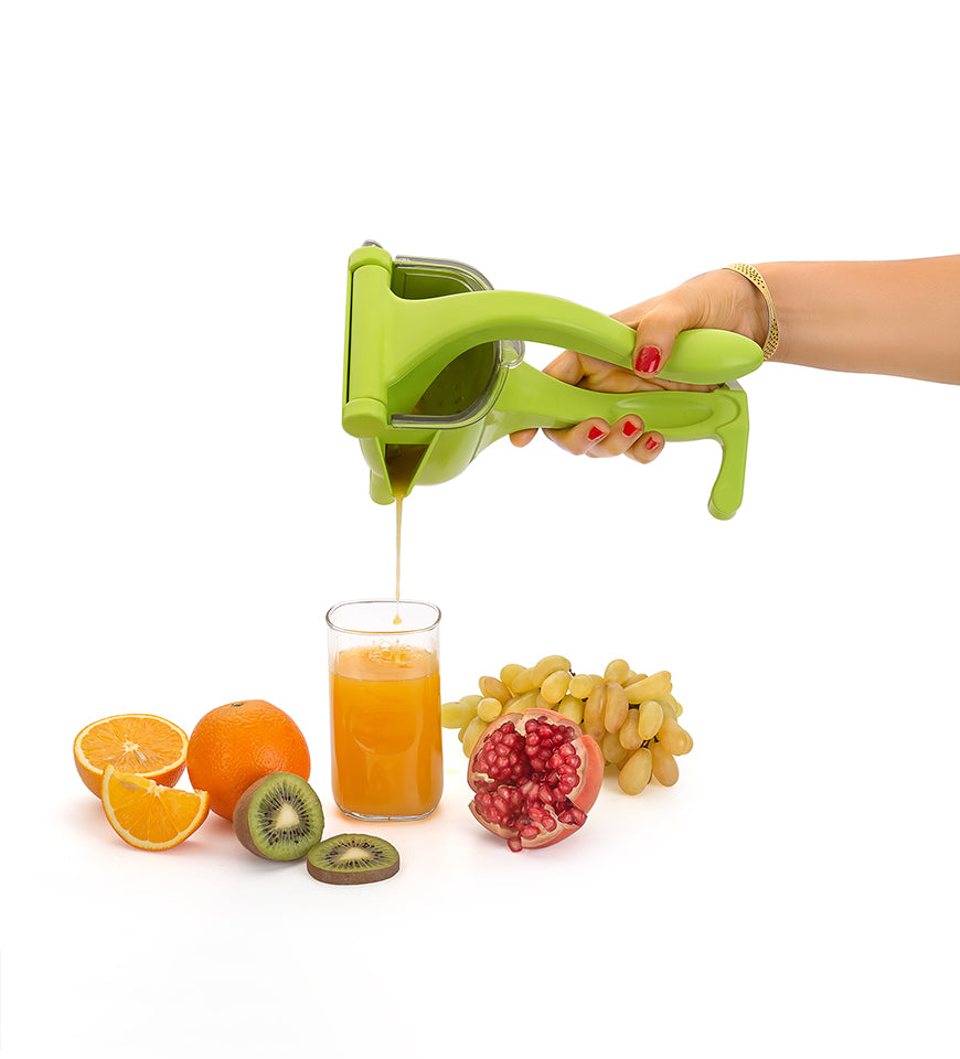 Fruit Juicer